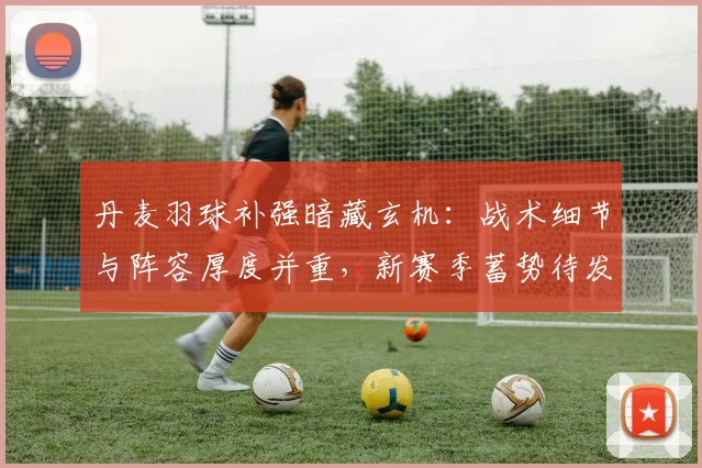 丹麦羽球补强暗藏玄机：战术细节与阵容厚度并重，新赛季蓄势待发