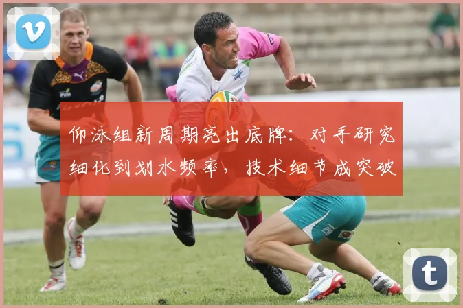 仰泳组新周期亮出底牌：对手研究细化到划水频率，技术细节成突破口