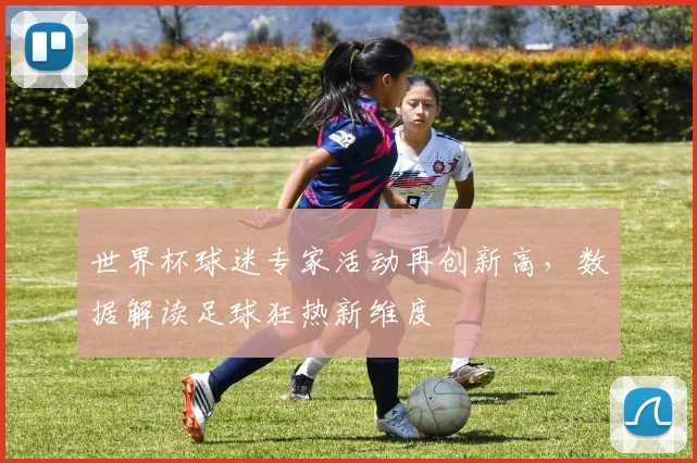 世界杯球迷专家活动再创新高，数据解读足球狂热新维度