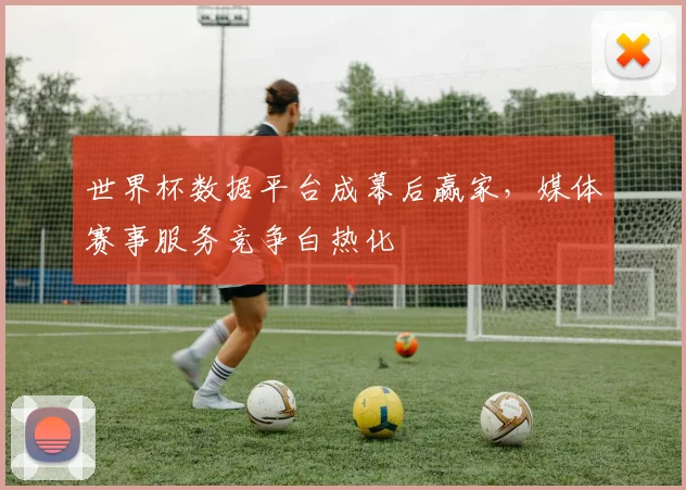 世界杯数据平台成幕后赢家，媒体赛事服务竞争白热化