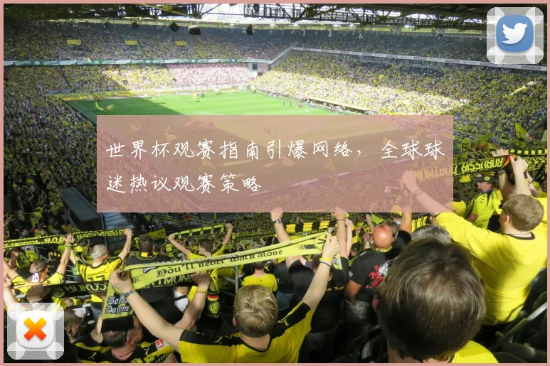 世界杯观赛指南引爆网络，全球球迷热议观赛策略